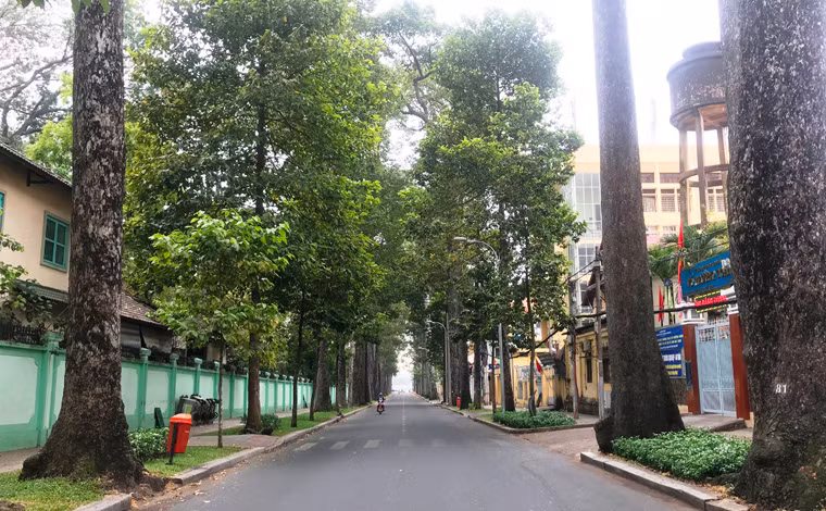 Vẻ thơ mộng trên tuyến đường Nguyễn Bỉnh Khiêm, quận 1.