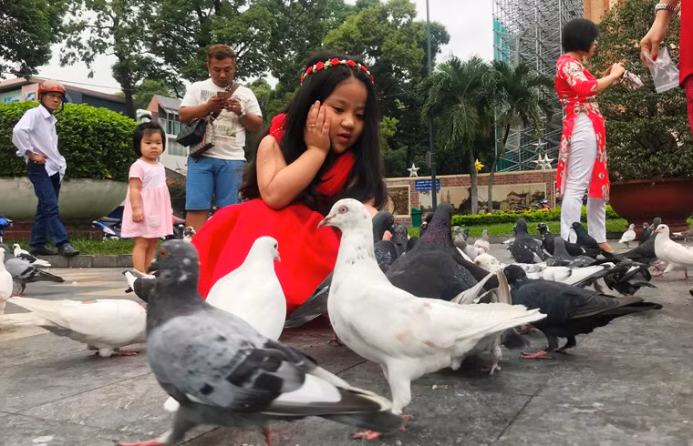 Những đứa trẻ xúng xính trong chiếc áo dài chơi đùa cùng đàn chim bồ cầu ở Nhà thờ Đức Bà sáng mồng 1.