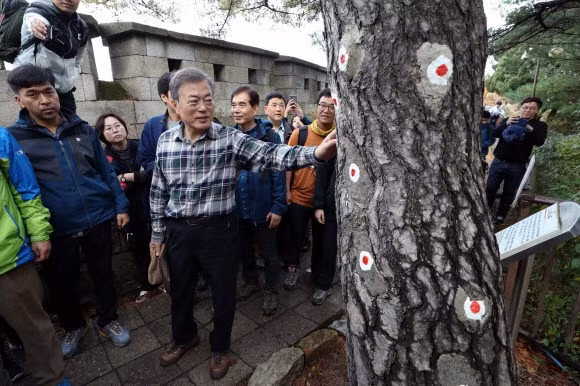 Một cuộc đọ súng lớn đã nổ ra, biệt kích Triều Tiên sau khi bị lộ đã từ bỏ mục tiêu chính là Nhà Xanh và ám sát Tổng thống Park Chung-hee, quyết định chia thành nhiều nhóm nhỏ và tìm cách đào thoát về Triều Tiên. Nguồn ảnh: Pinterest.