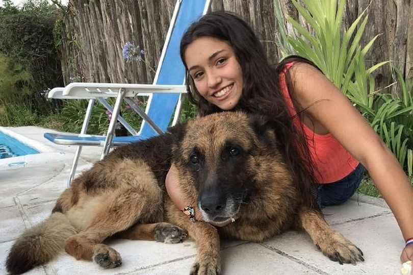 Thiếu nữ bị chó cắn trúng mặt vì hành động dại dột này Thieu nu bi cho can trung mat vi hanh dong dai dot nay