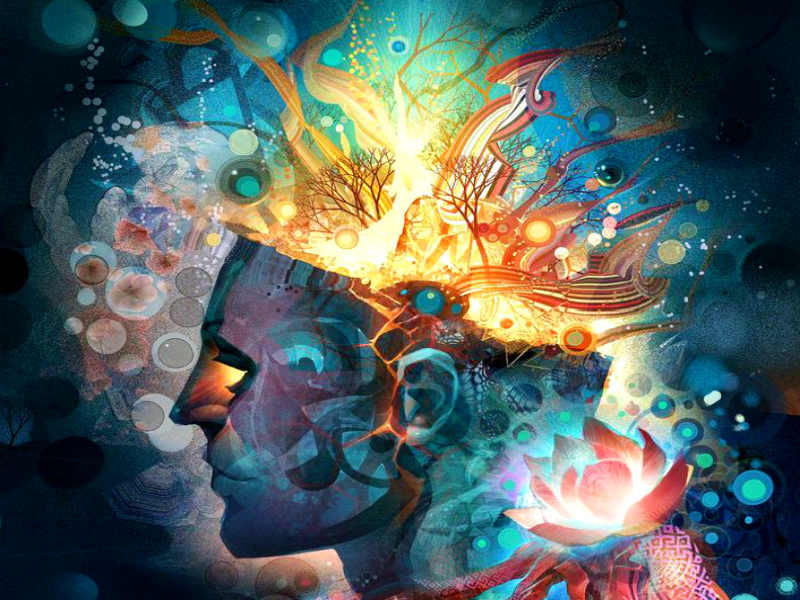 Những giấc mơ tiên tri này khác với những giấc mơ thông thường. Trong mơ, nhà ngoại cảm nhìn thấy bạn bè hoặc người nổi tiếng sẽ gặp những sự kiện tồi tệ và cảnh báo họ. Dù vậy, họ vẫn không thể ngăn những điều đó xảy ra trên thực tế. Mời quý độc giả xem video: Bé trai 4 tuổi có khả năng ngoại cảm phi thường (nguồn: VTC14).