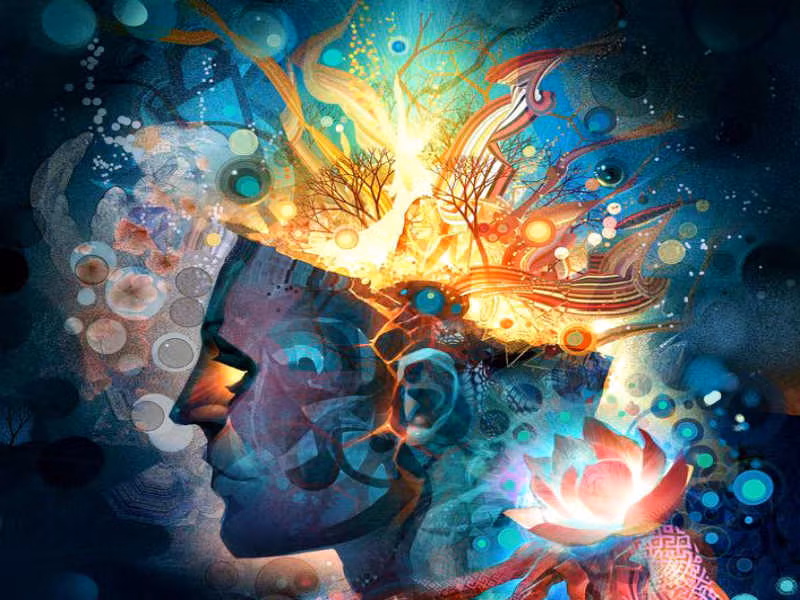 Những giấc mơ tiên tri này khác với những giấc mơ thông thường. Trong mơ, nhà ngoại cảm nhìn thấy bạn bè hoặc người nổi tiếng sẽ gặp những sự kiện tồi tệ và cảnh báo họ. Dù vậy, họ vẫn không thể ngăn những điều đó xảy ra trên thực tế. Mời quý độc giả xem video: Bé trai 4 tuổi có khả năng ngoại cảm phi thường (nguồn: VTC14).