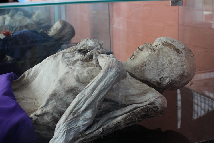 Dù các chuyên gia nỗ lực nghiên cứu và bỏ ra nhiều tâm huyết nhưng đến nay vẫn chưa tìm ra câu trả lời hợp lý nhất.