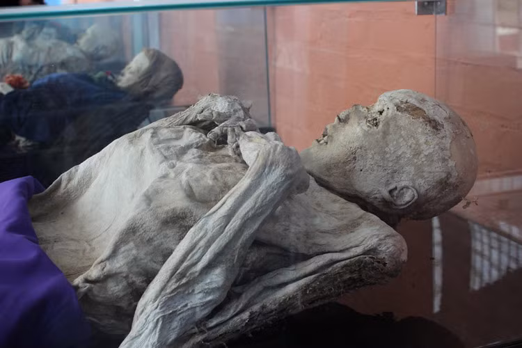 Dù các chuyên gia nỗ lực nghiên cứu và bỏ ra nhiều tâm huyết nhưng đến nay vẫn chưa tìm ra câu trả lời hợp lý nhất.