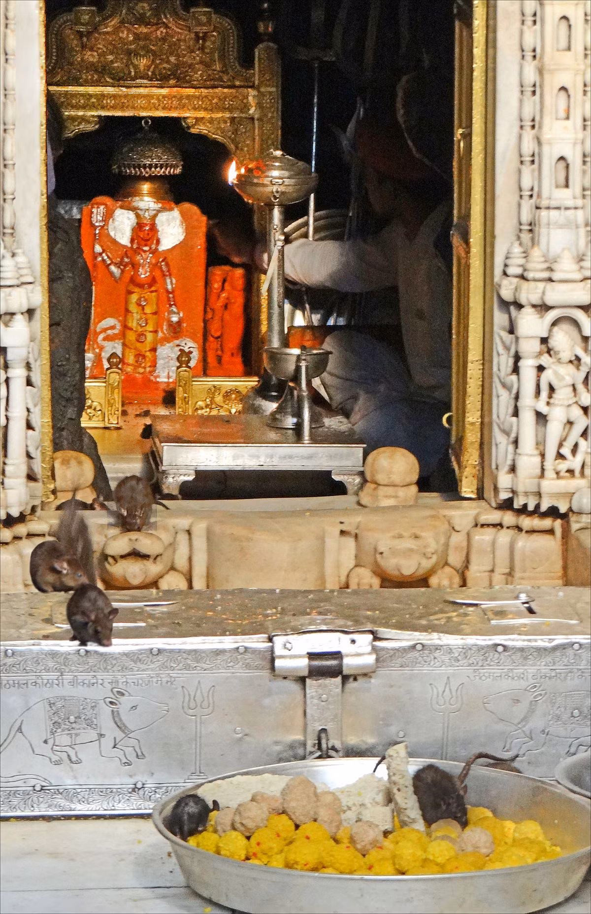 Nếu không may dẫm chết một con chuột tại đền thờ Karni thì du khách phải bỏ tiền mua một con chuột bạc đặt trong đền để chuộc tội.