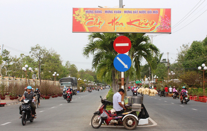 Chiem nguong cay mai 90 nam tuoi duoc rao ban 1 ty dong