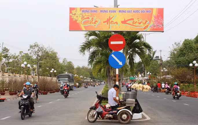 Chiem nguong cay mai 90 nam tuoi duoc rao ban 1 ty dong