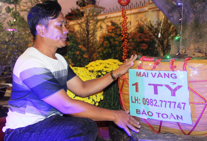 Chiem nguong cay mai 90 nam tuoi duoc rao ban 1 ty dong-Hinh-4