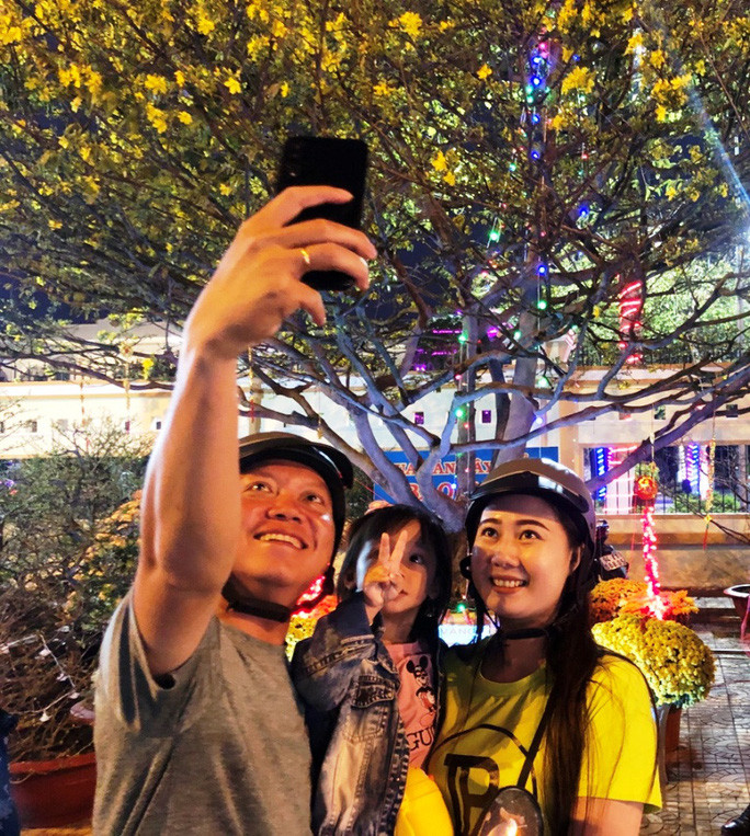 Chiem nguong cay mai 90 nam tuoi duoc rao ban 1 ty dong-Hinh-10