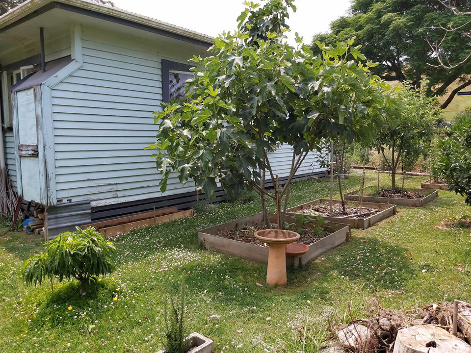 Cuoc song yen binh cua nguoi dan ong trong ngoi nha nho-Hinh-3