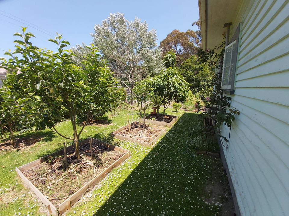 Cuoc song yen binh cua nguoi dan ong trong ngoi nha nho-Hinh-2