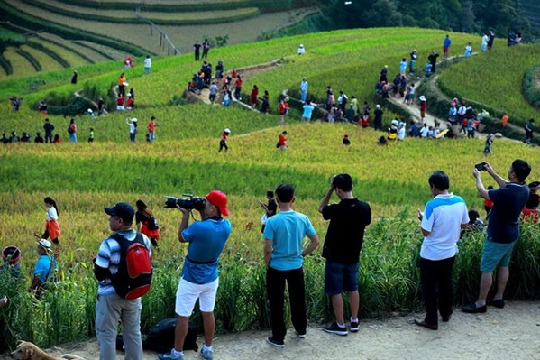 Nhiều du khách quốc tế đã chụp được những bức ảnh ấn tượng về ruộng bậc thang Mù Cang Chải và chia sẻ trên các mạng xã hội như Instagram, Facebook...