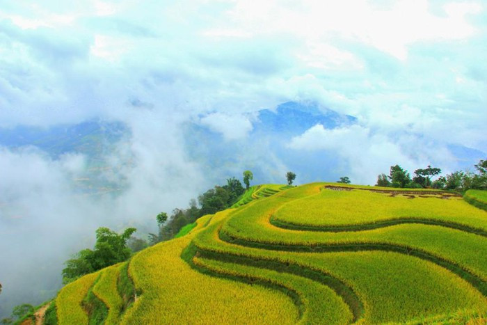 Theo đó, nhiều khách du lịch trong và ngoài nước ghé thăm ruộng bậc thang Mù Cang Chải để chiêm ngưỡng cảnh quan tuyệt đẹp tại nơi đây.