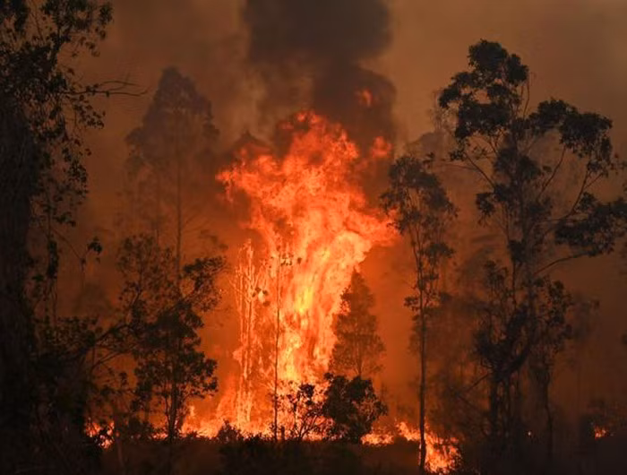 Trong tháng 1-2020, trên thế giới đã xảy ra nhiều thiên tai: Cháy rừng tại Úc,...