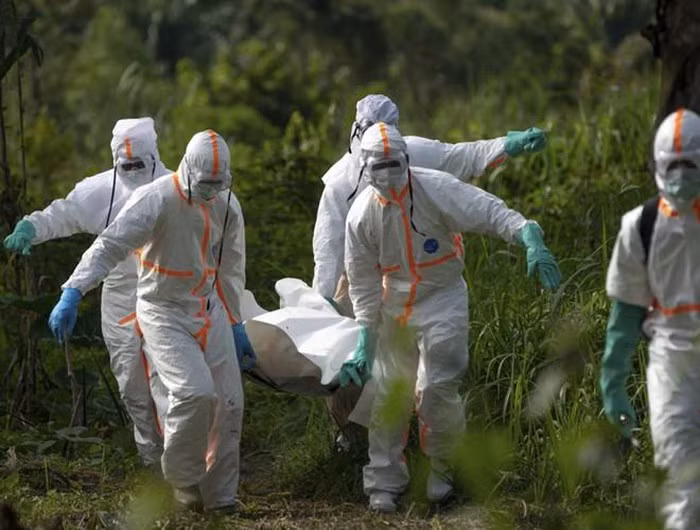 Đại dịch Ebola.