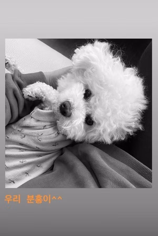 Hau ly hon, Song Hye Kyo chia se anh don Tet doc than dau tien-Hinh-4