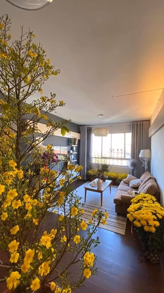 Tại căn chung cư của Hoa hậu H’hen Niê tràn ngập sắc vàng