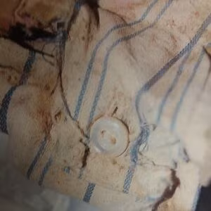 Trước khi qua đời, Lovless bị bắt ít nhất hai lần vì tội buôn lậu và vượt ngục bằng cách cưa các thanh chắn của nhà tù.