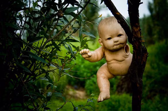 Theo đó, nhiều con búp bê không nguyên vẹn bị mất tay, chân hoặc đầu được treo lên cây. Không những vậy, ông Santana còn lấy bộ phận còn thiếu từ con búp bê khác để lắp vào con búp bê này để nó trở nên hoàn chỉnh. Điều này khiến những con búp bê càng trở nên quái dị hơn.