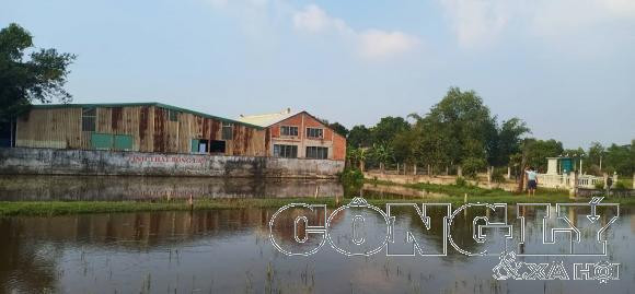 Tinh that Bong Lai Duc Hoa – Long An: Dai “gia dinh” gia su de con that!