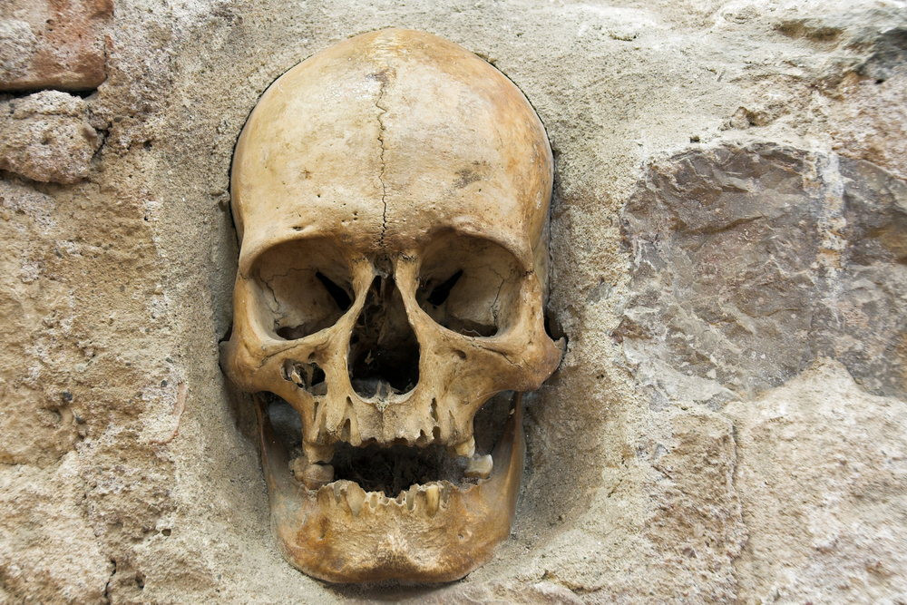 Rùng rợn hơn, Vizier Hurshid Pasha còn ra lệnh cho cấp dưới thu gom những chiếc hộp sọ của kẻ thù để xây thành một tòa tháp ở ngay con đường chính dẫn vào thành phố như một lời răn đe đối với những người nhen nhóm ý định nổi loạn.