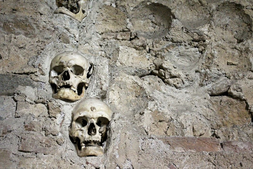 Trước hành động liều lĩnh và điên rồ của Stevan, Vizier Hurshid Pasha - thủ lĩnh của đội quân đế chế Ottoman quyết định chặt đầu và nhồi rơm vào xác những người lính đi theo Stevan rồi gửi về cho Vua Mahmud II tại Constantinople như bằng chứng đánh thắng trận.