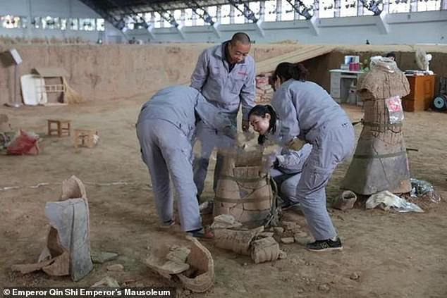 Tính đến thời điểm hiện nay, các nhà khảo cổ tìm thấy hơn 8.200 pho tượng chiến binh đất nung kể từ lần đầu phát hiện vào năm 1974.