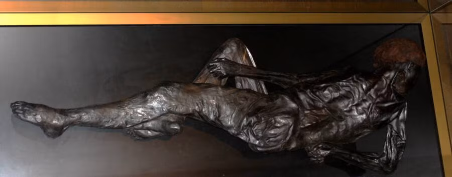 Theo đó, họ suy đoán thi hài này có thể thuộc về Red Christian, 65 tuổi. Người này mất tích vào khoảng năm 1887 và được cho là ngã vào một đầm lầy dẫn đến tử vong.