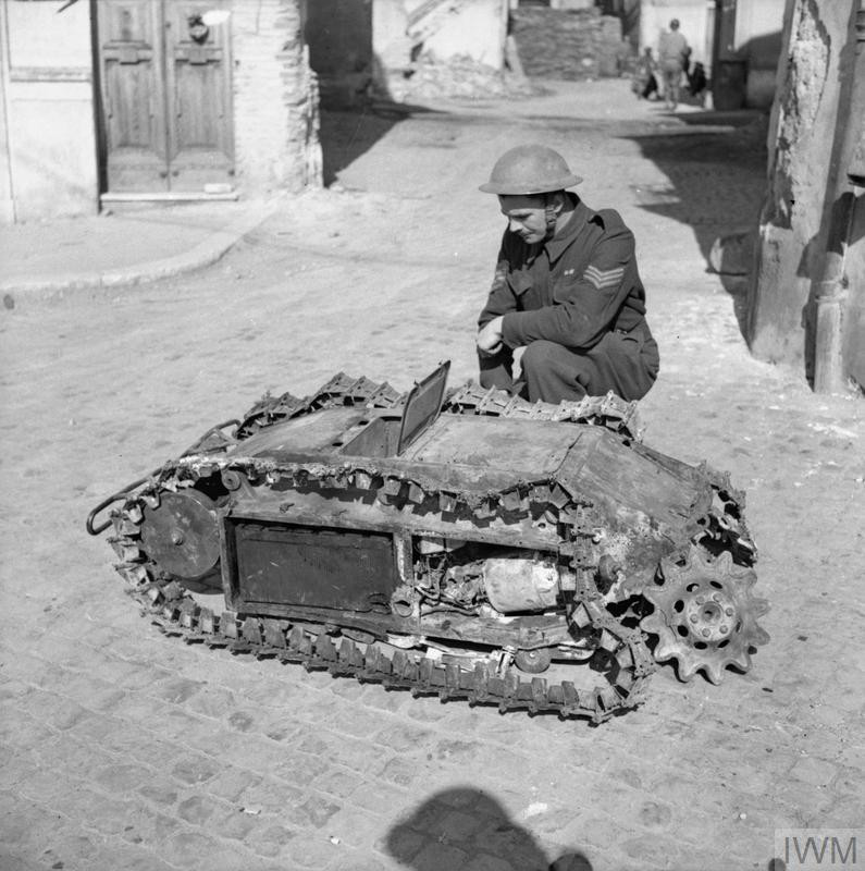 Xe tăng Goliath có khả năng di chuyển với vận tốc 10 km/h. Quân đồng minh gọi vũ khí này là xe tăng "bọ hung".