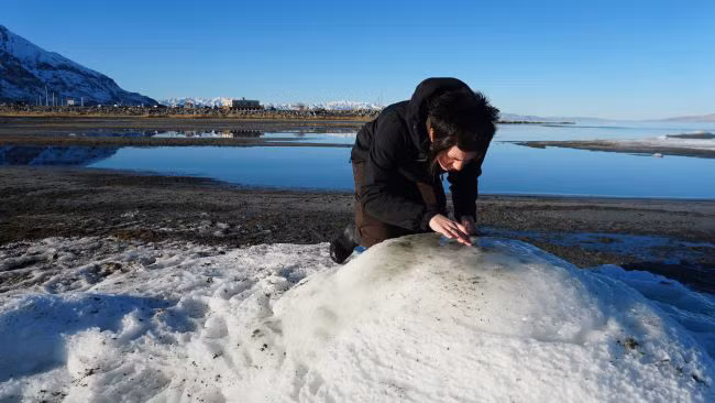 Phat hien cau truc “ngoai hanh tinh” xuat hien ngay tren trai dat-Hinh-3