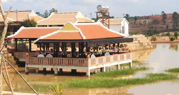 Dai gia Quang Nam dung biet phu tren dat rung: De xuat xu phat hanh chinh-Hinh-2