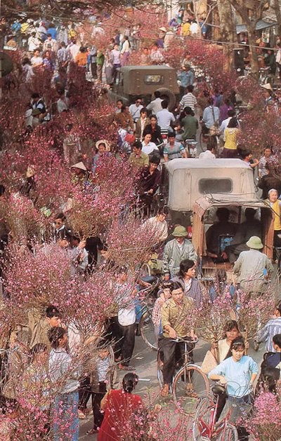 Góc chợ ngày Tết rực rỡ sắc đỏ của hoa đào.