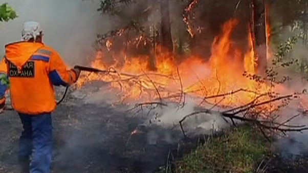 Một thống kê cho thấy ít nhất 23 người chết và hơn 900 người bị thương trong vụ cháy rừng nghiêm trọng ở Nga. Thêm nữa, 3 trường học, 2 cơ sở y tế bị phá hủy và 5.000 người mất nhà cửa.