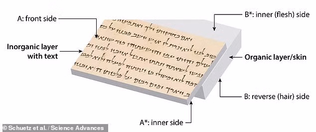 Cụ thể, các chuyên gia MIT tập trung nghiên cứu một cuộn sách Biển Chết đặc biệt có tên Temple Scroll. Đây là một trong những cuộn lớn nhất (dài khoảng 7.5m) và được bảo quản tốt nhất trong tất cả các cuộn được tìm thấy.
