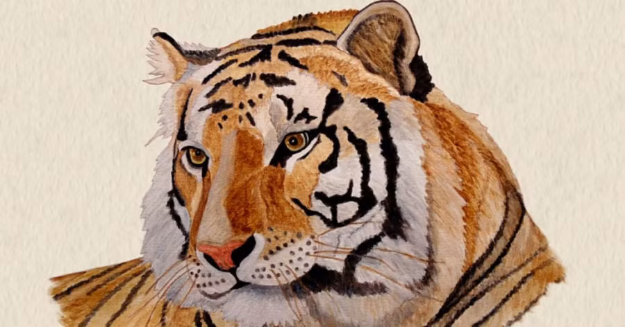 Đặc biệt, tình hình tài vận của tuổi Dần năm Canh Tý 2020 vô cùng sáng sủa. Theo đó, người cầm tinh con hổ hiếm khi phải lo lắng chuyện tiền bạc.