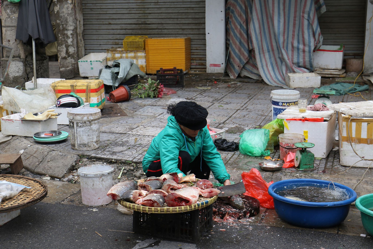 Cá tươi, tôm sống tươi ngon đã được làm sạch sẽ. Tuy nhiên, không có nhiều người hỏi thăm các mặt hàng này.