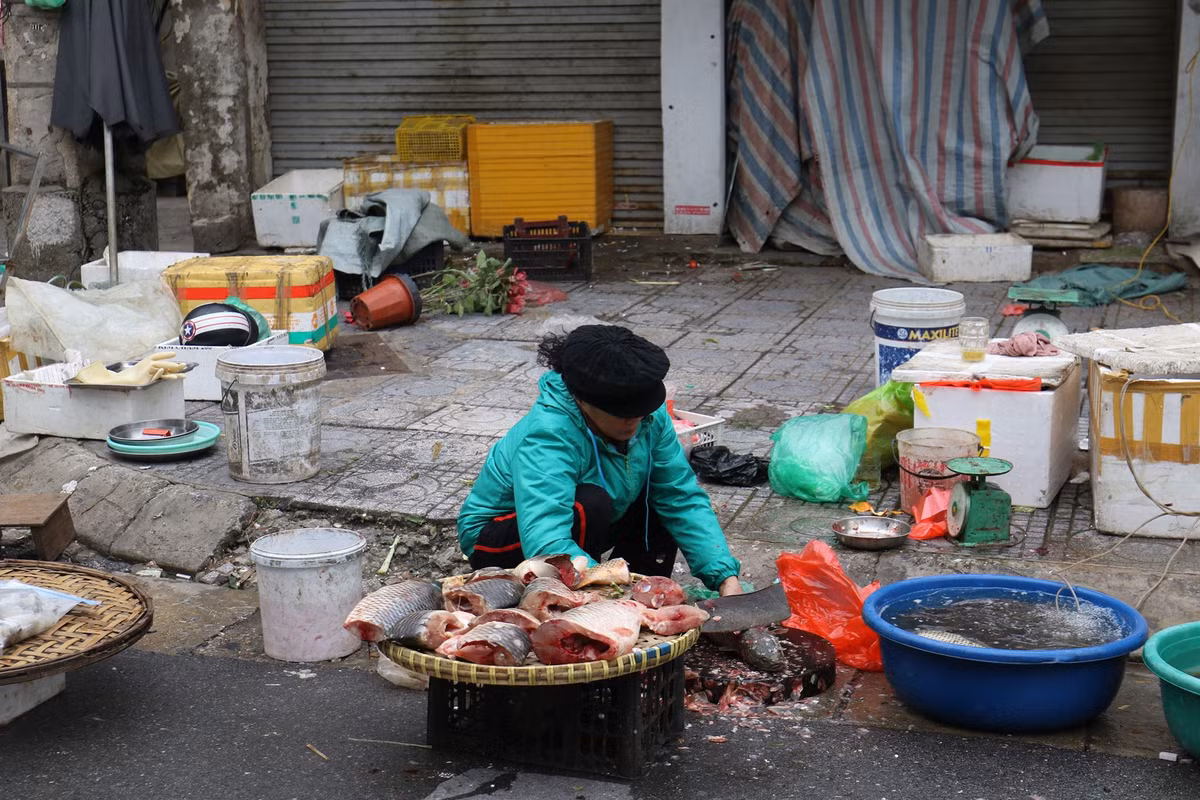 Cá tươi, tôm sống tươi ngon đã được làm sạch sẽ. Tuy nhiên, không có nhiều người hỏi thăm các mặt hàng này.