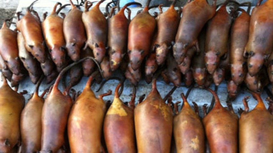 Cụ thể, vào mỗi dịp Tết đến, xuân về, trên bàn thờ của người Dao Tiền không thể thiếu món thịt chuột khô.