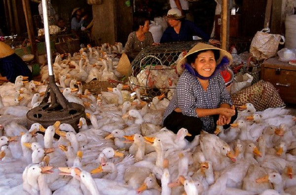 Nụ cười niềm nở của người bán hàng.