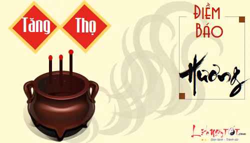  8. Tăng Thọ hương: Ý nghĩa: Độ dài ngắn của những chân hương này là điềm báo cho thấy người trong nhà sẽ tổ chức lễ mừng thọ. Một trong những yếu tố có thể giúp con người kéo dài tuổi thọ chính là từ bi độ lượng, không sát sinh mà thường xuyên phải làm việc thiện. Có thể bạn chưa biết Phật dạy 7 trường hợp không nên sát sinh. Khi có người nhà mắc bệnh nặng, nếu có Thọ hương xuất hiện thì mọi người cần nhắc nhở nhau không nên sát sinh mà phải tiến hành phóng sinh, như vậy bệnh tình mới thuyên giảm. Ngoài ra, điều này còn có hàm ý là hướng đến những hành động lương thiện, tu tâm dưỡng tính để có thể sống lâu sống khỏe.