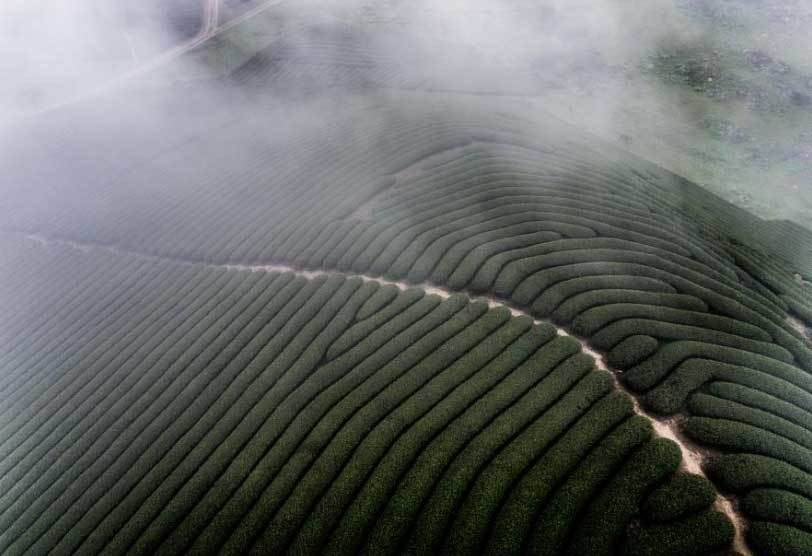 Mộc Châu từ trên cao nhìn xuống.