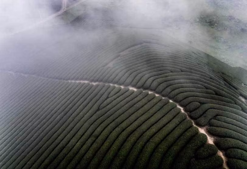 Mộc Châu từ trên cao nhìn xuống.