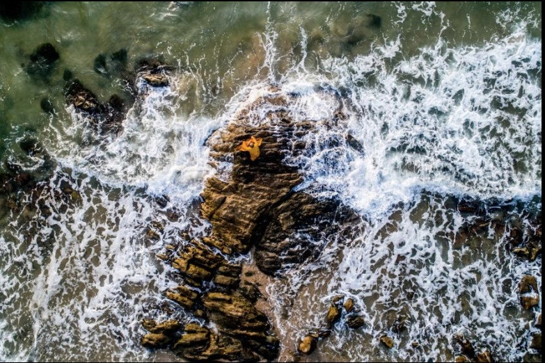 Theo National Geographic, là người đảo Rohde, Mỹ, học báo chí và nhiếp ảnh ở San Francisco, Mott cảm thấy được chào đón ngay khi tới Việt Nam.