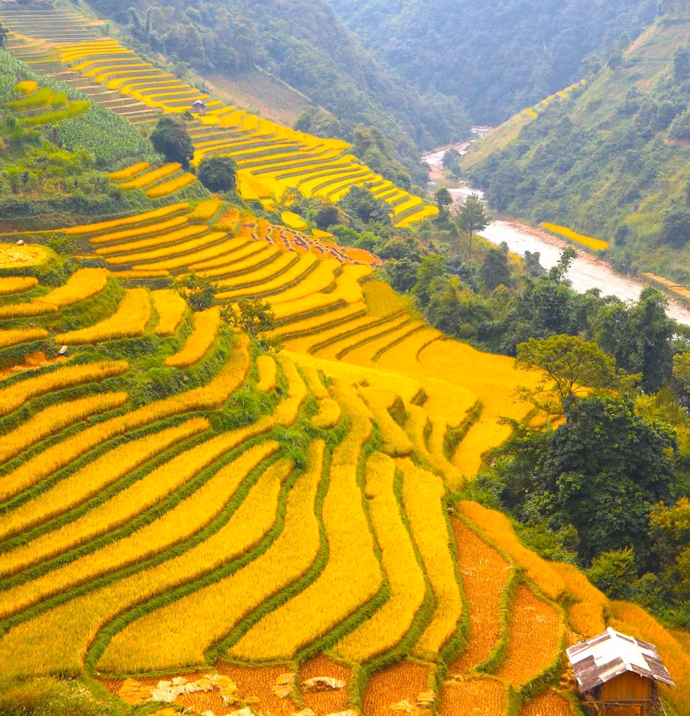 Ngoài Mù Cang Chải, Chiang Mai của Thái Lan cũng là đại diện của Đông Nam Á góp mặt trong danh sách cùng với nhiều điểm đến khác từ khu vực châu Âu. Mùa vàng về trên Mù Cang Chải. (Ảnh: Theleader)