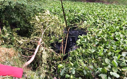 Oto lao nha dan, tong chet nguoi roi bay xuong kenh-Hinh-2