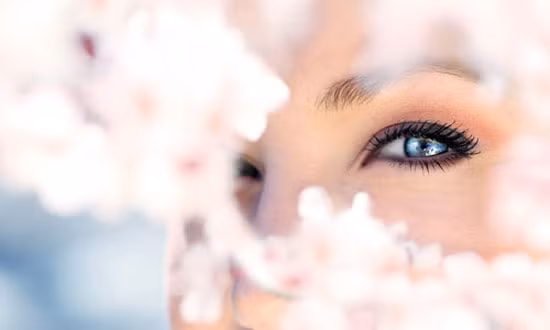 Tuy nhiên, theo nghiên cứu, chất quercetin được tập trung nhiều nhất tại phần vỏ của củ hành, bộ phận mà chúng ta thường có thói quen loại bỏ khi chế biến. Vì vậy muốn có đôi mắt sáng, bạn đừng vứt bỏ vỏ hành tây.