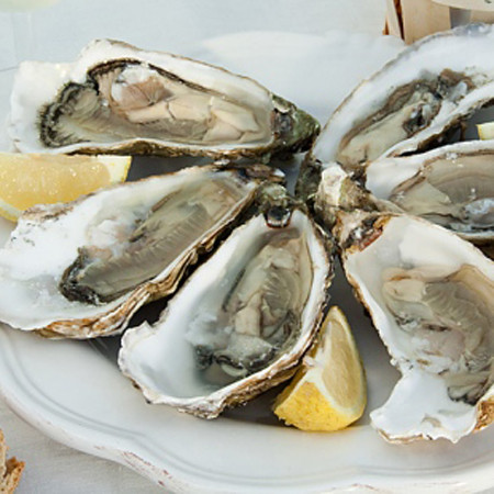 Nếu hàu được đánh bắt trong mùa biển có tảo độc thì nó còn có thể nhiễm tảo này và trở thành món hải sản có độc, gây tiêu chảy cho người ăn hàu sống. Chất purin trong gan và thận của hàu làm tăng nguy cơ phát triển bệnh gút. Vì vậy, hãy nấu chín hàu nhé.