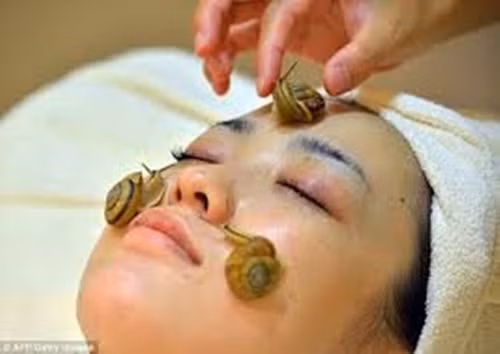 Nhà trị liệu sẽ đặt những con ốc sên trực tiếp lên mặt của các khách hàng và cho phép loài động vật thân mềm di chuyển tự do trên mặt, để lại chất nhầy trên da. Chất nhầy được cho là chứa các loại protein, chất chống ôxy hóa và axit hyaluronic giúp giữ ẩm, giảm chứng sưng viêm và loại bỏ da chết, nhờ đó làm đẹp da.