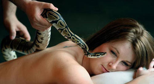 Quan trọng nhất, tất cả những chú rắn trong trung tâm đều không còn nọc độc để đảm bảo an toàn cho khách hàng. Nhiều khách hàng cho biết "Cảm giác đó rất sảng khoái, nó giống như một sợi dây đá mát lạnh”.