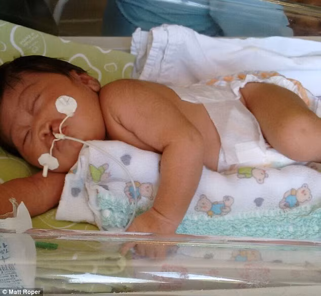 Trong thị trấn này, để kiếm một ngôi nhà không bị ảnh hưởng bởi virus Zika là vô cùng khó.